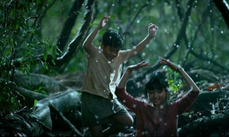 Qua con bao,  ai con nho qua mit non cuoi vuon anh 1