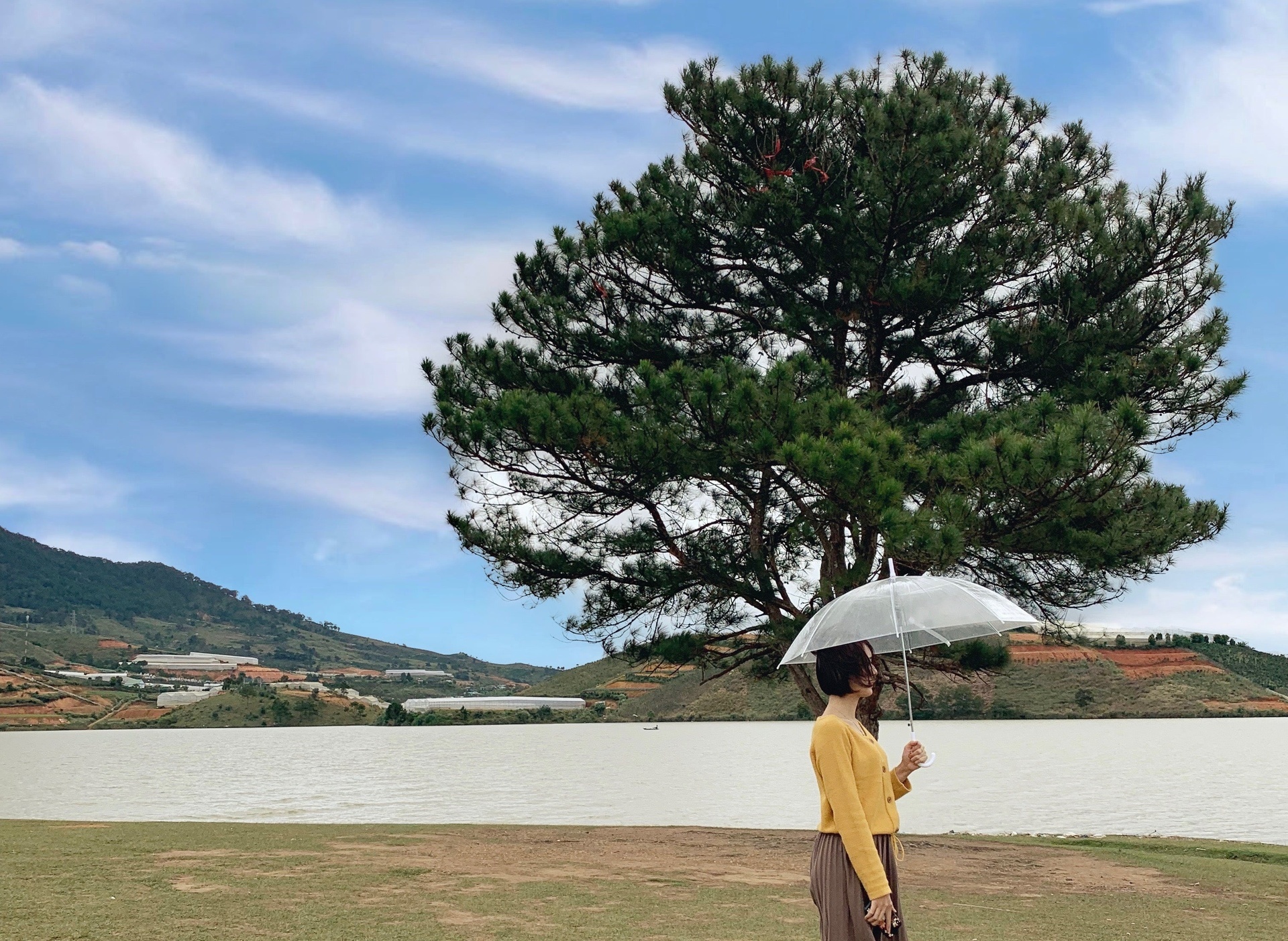 Ve dep cua Da Lat trong mat nha van Nhat hinh anh