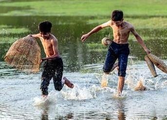 Nho thuong mua he hinh anh