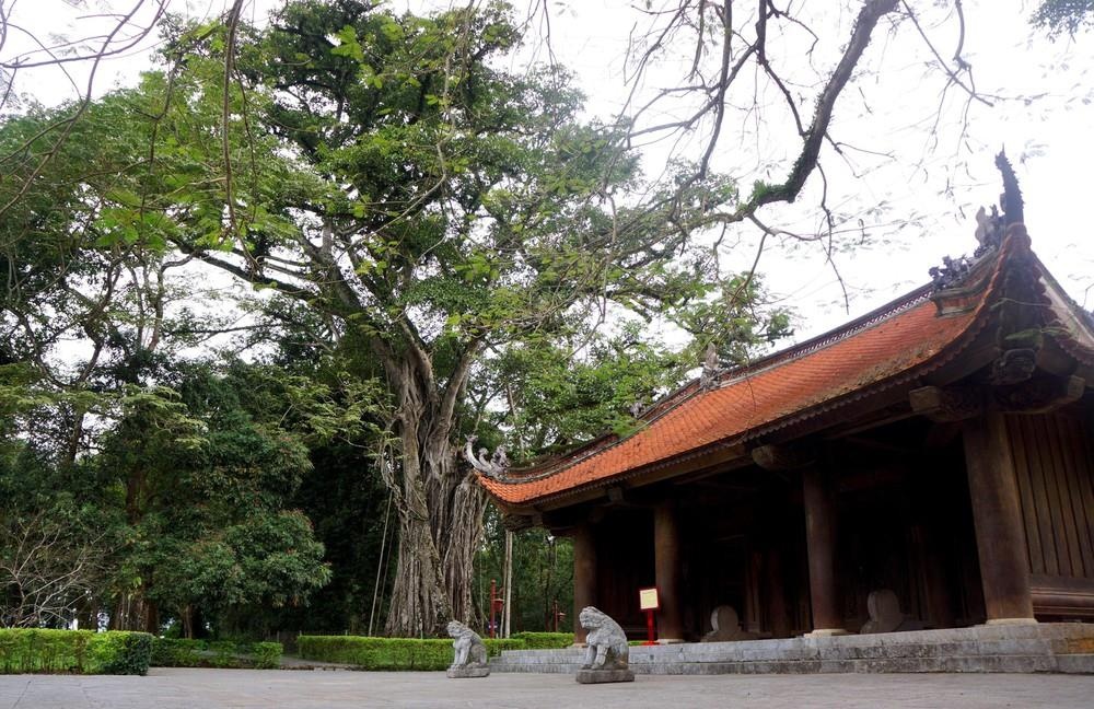 Loi viet giai thieng lich su doc dao trong 'Bo hoang pho co' hinh anh