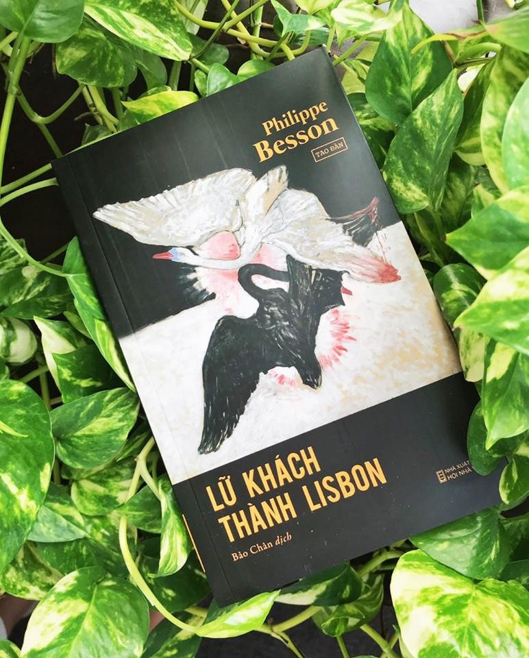 Cach de chua lanh nhung trai tim dang ri mau anh 1