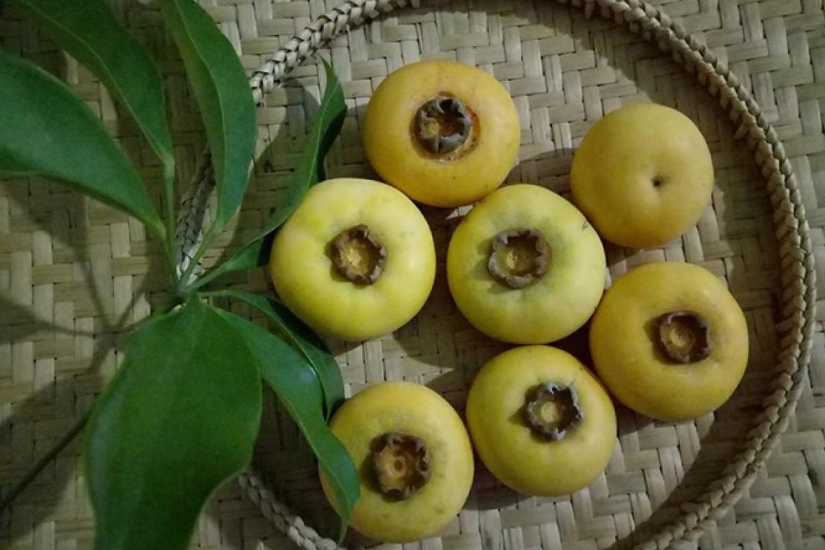 Chênh chao trái thị vàng nơi đèn hoa tấp nập ảnh 2 Chenh chao trai thi vang noi den hoa tap nap anh 2