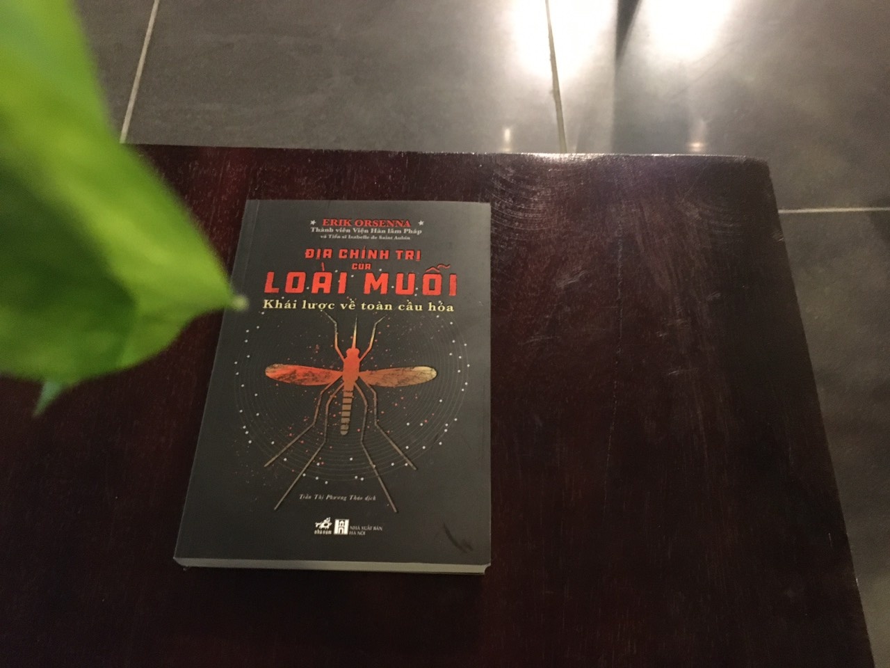 Di dân, toàn cầu hóa và câu chuyện về loài muỗi ảnh 2 Di dan, toan cau hoa va cau chuyen ve loai muoi anh 2