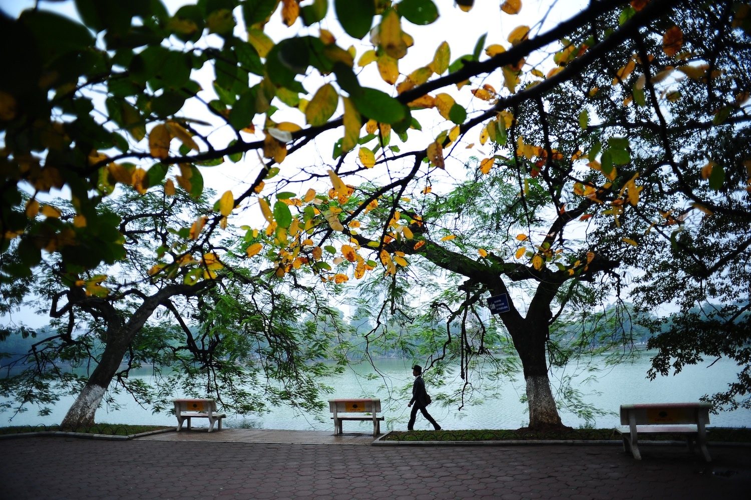 Gio lanh dau mua hinh anh