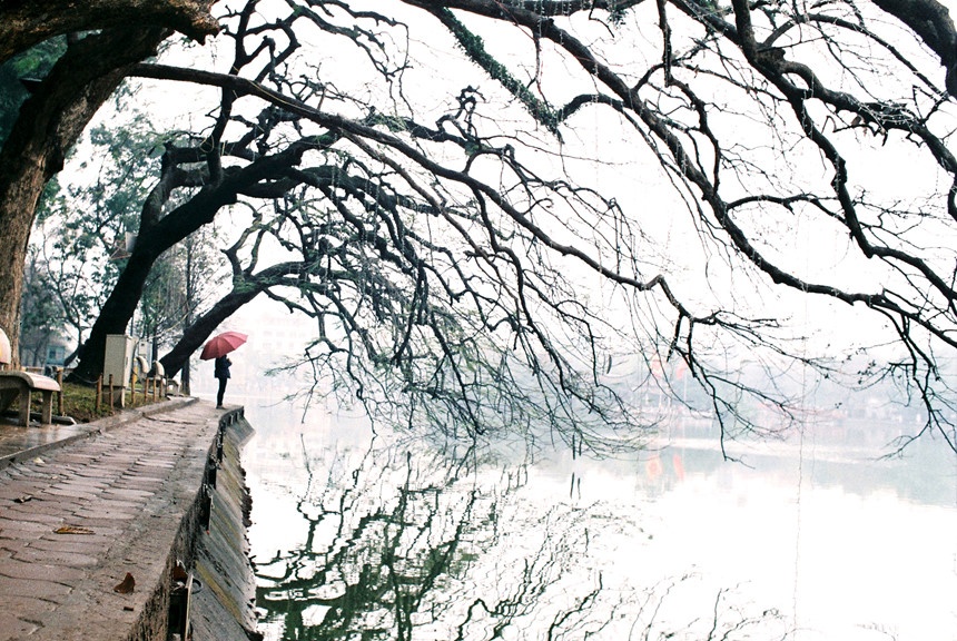 Gio lanh dau mua anh 1