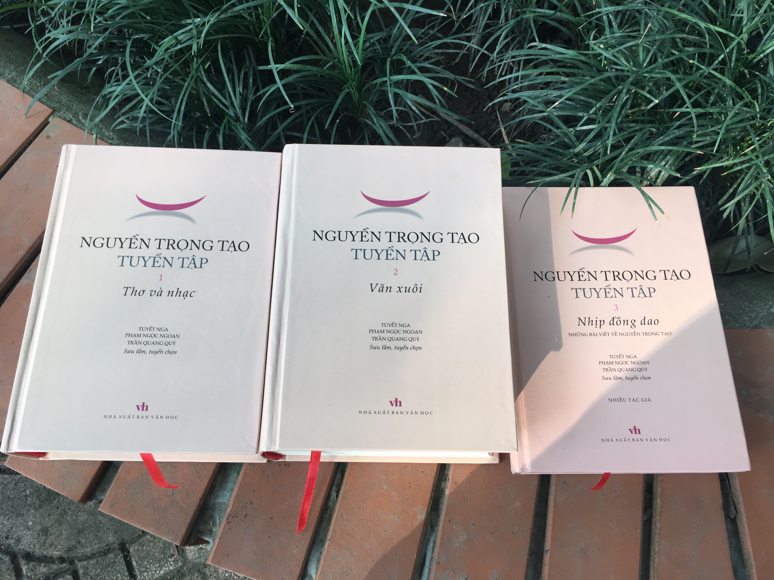 Nguyen Trong Tao: Nhung gi gui lai coi tran anh 1