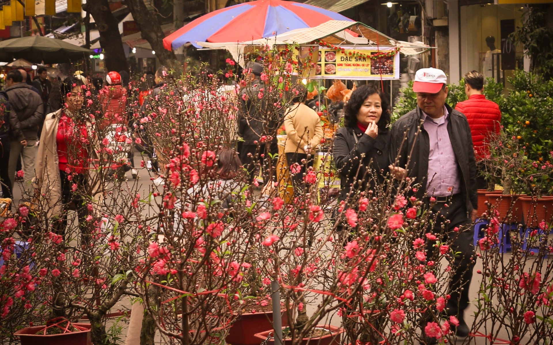 Tet se se lanh… hinh anh