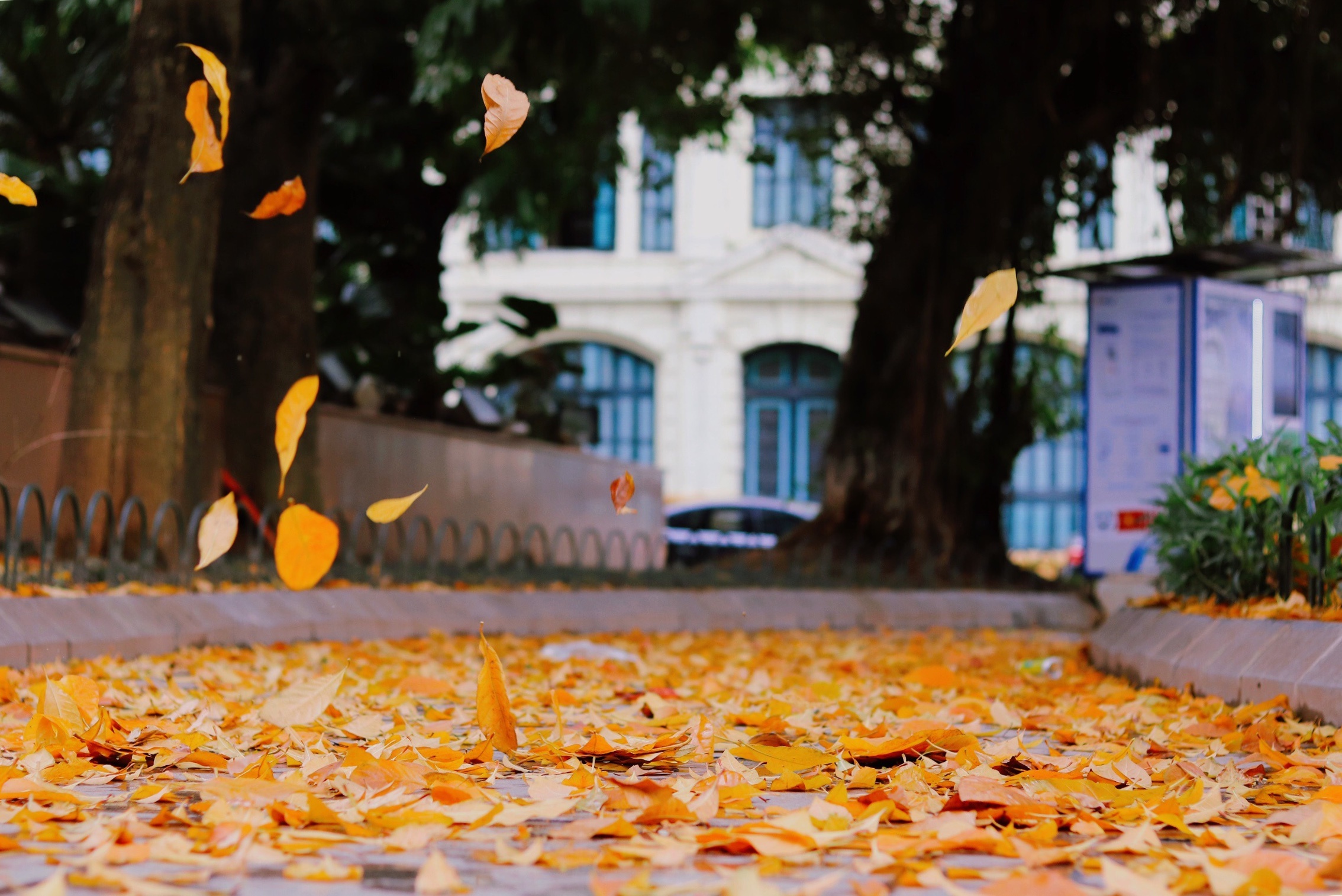  Duong nhu co mot Ha Noi sam vai ke khac hinh anh