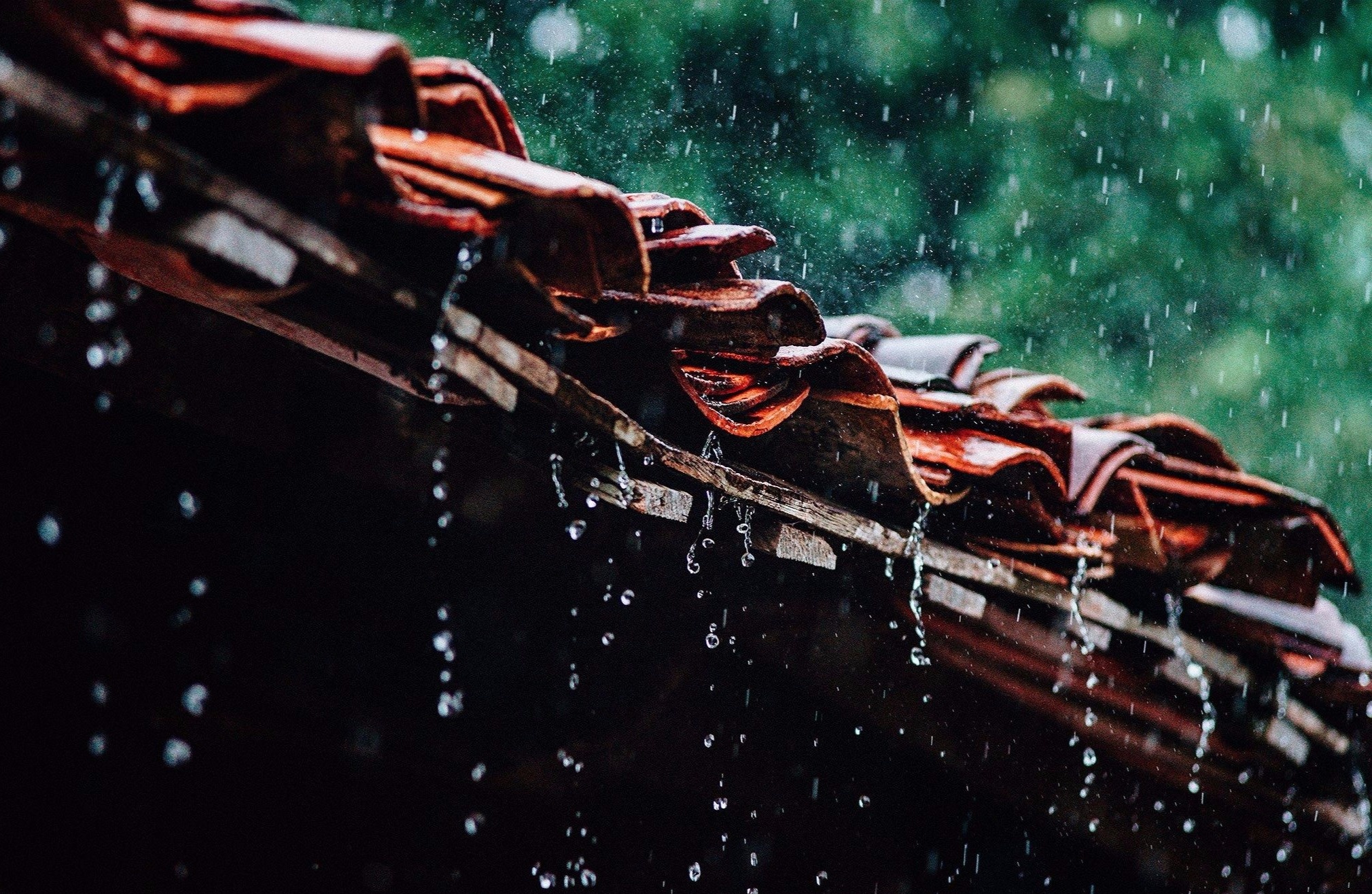 Chuyen cua con mua dau ha hinh anh