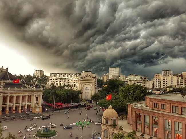 Chieu hom ay chot co con giong hinh anh