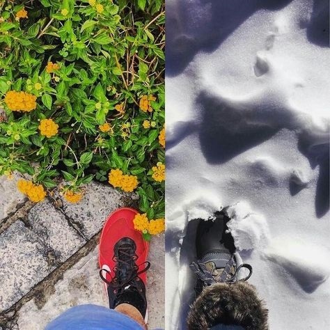 Dung ngai yeu xa anh 2