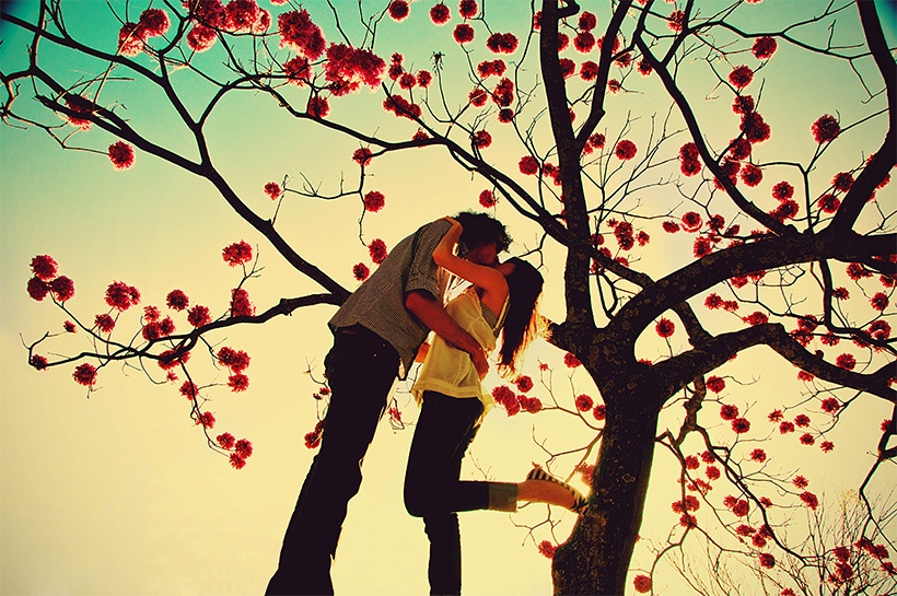 Dung ngai yeu xa anh 1