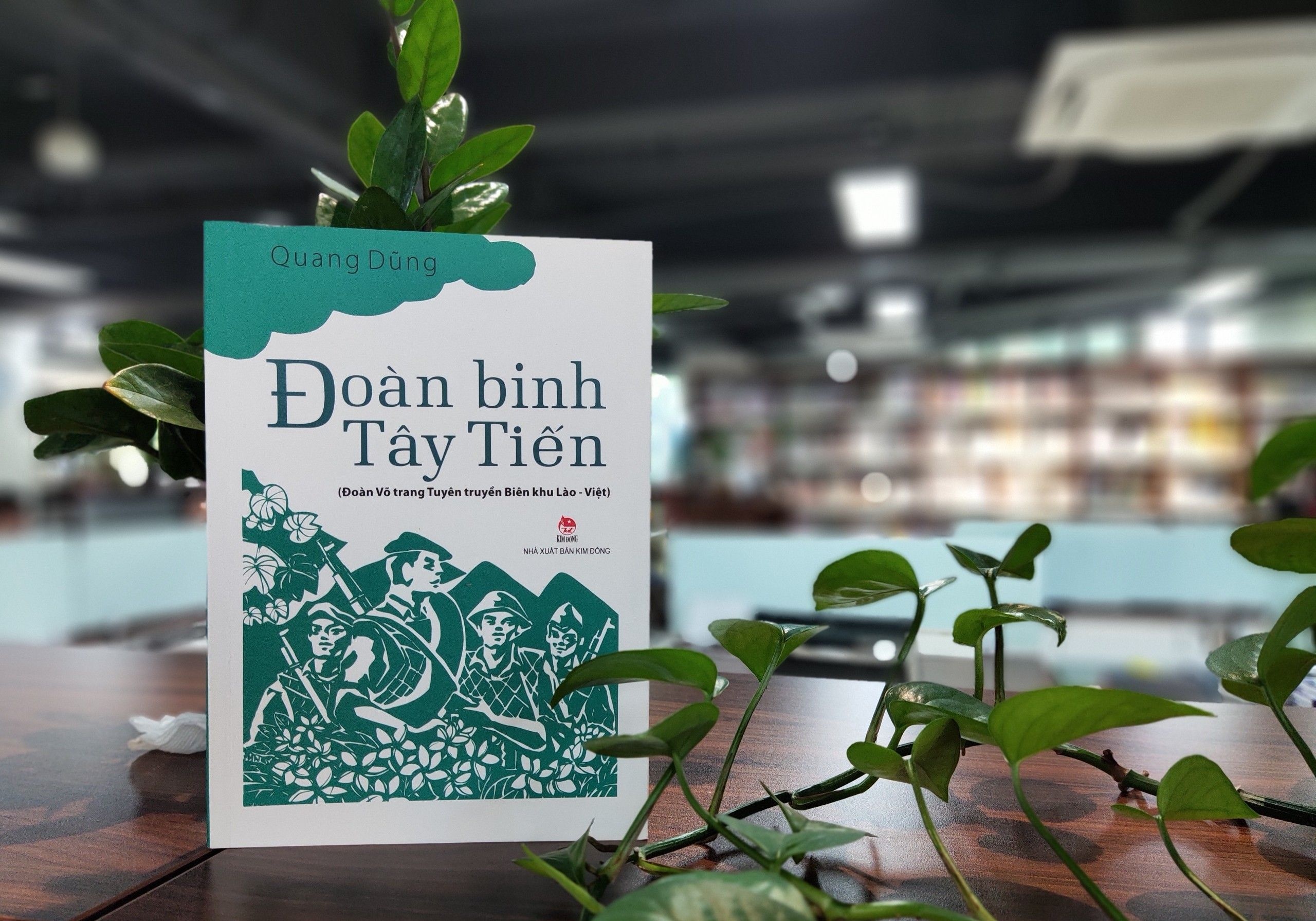 Tinh quan dan dem lua trai bap bung hinh anh