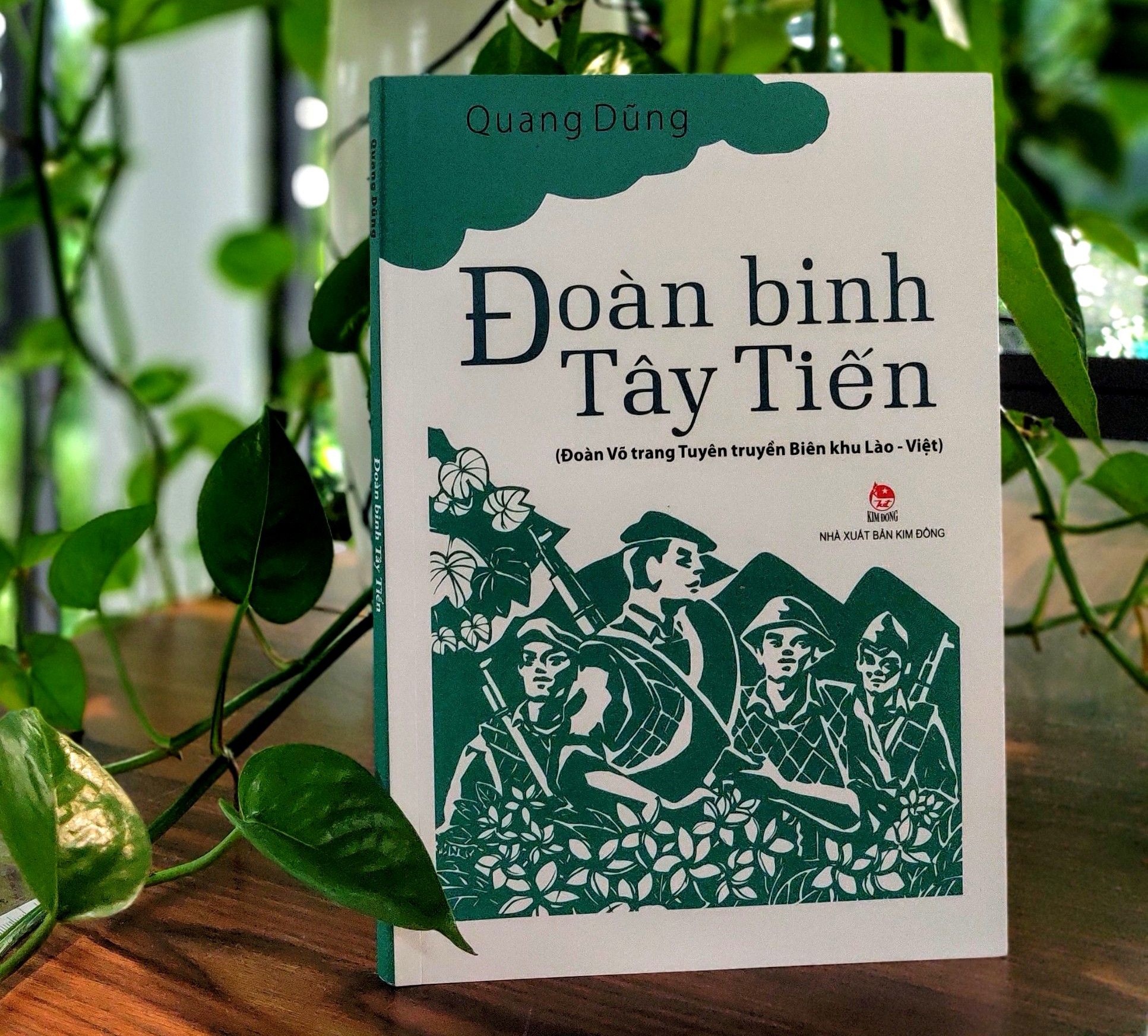 Doan binh TayTien anh 1