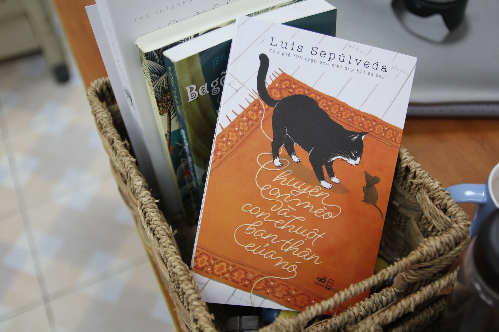 Nhung chu meo trong van chuong anh 3