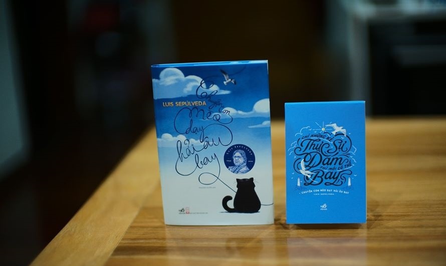 Nhung chu meo trong van chuong anh 1