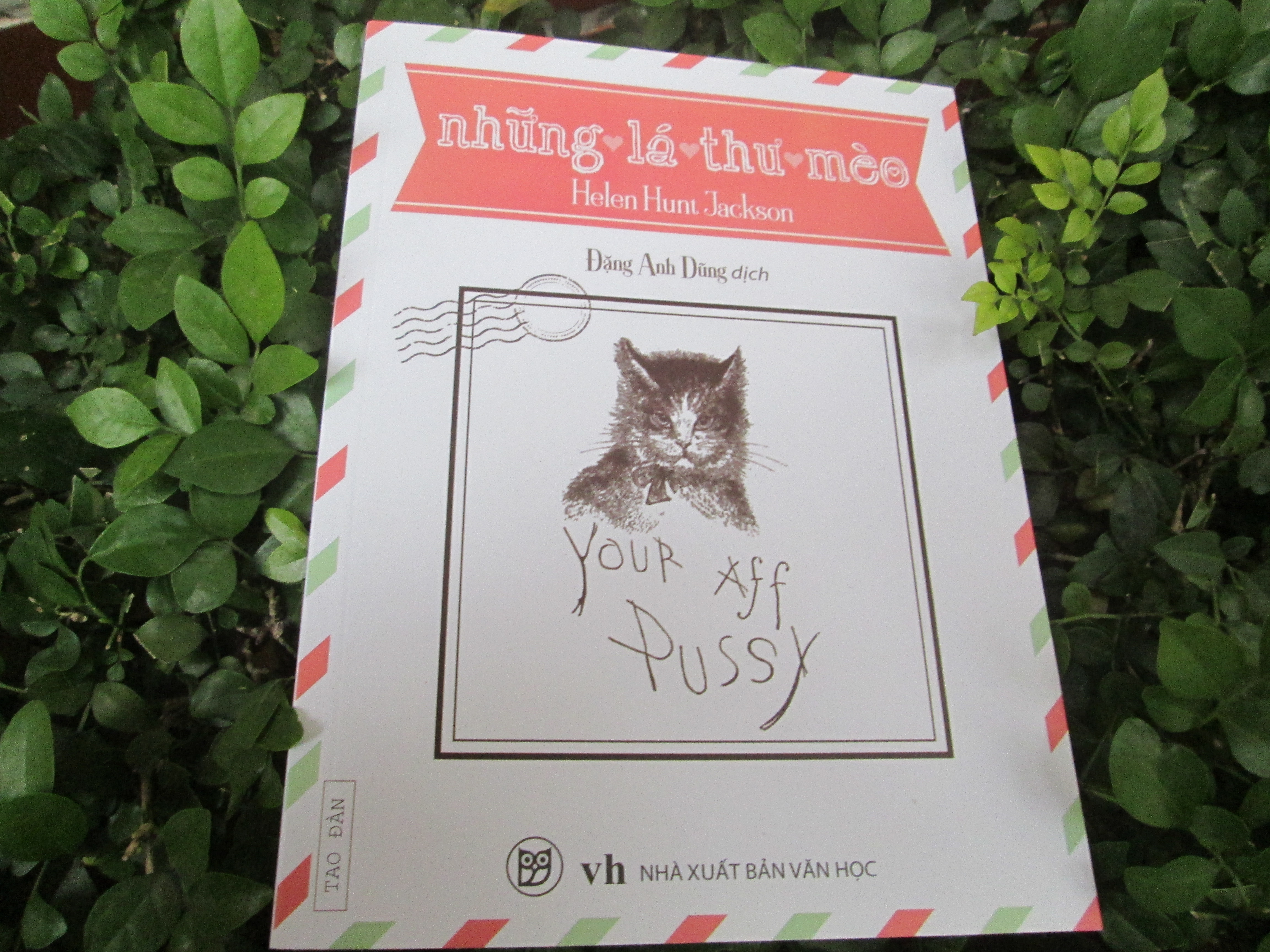 Nhung chu meo trong van chuong anh 2