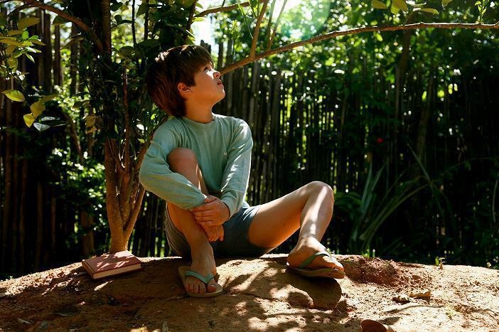 Cay cam ngot cua toi anh 3