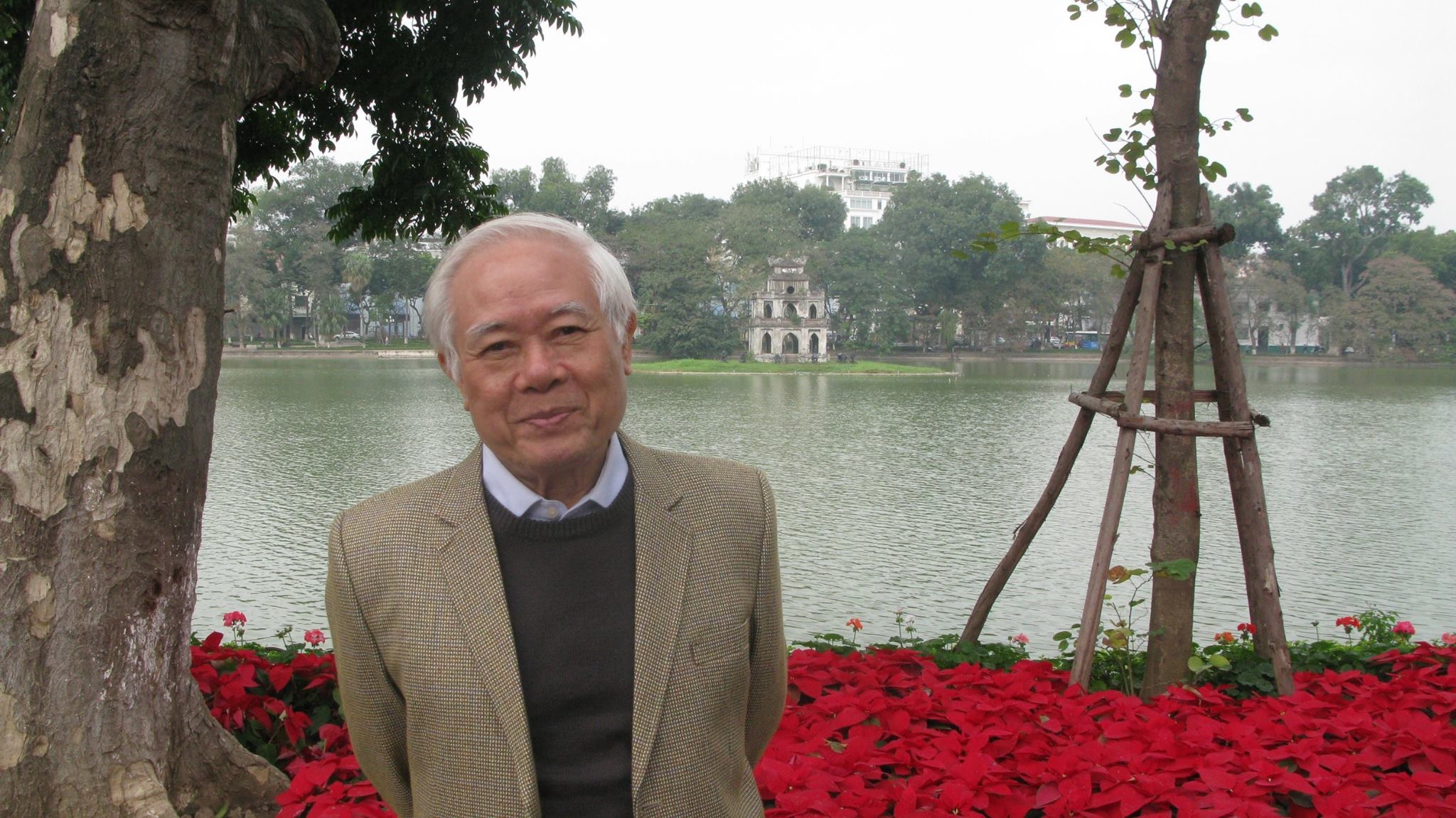 Viet Nam danh tac anh 2