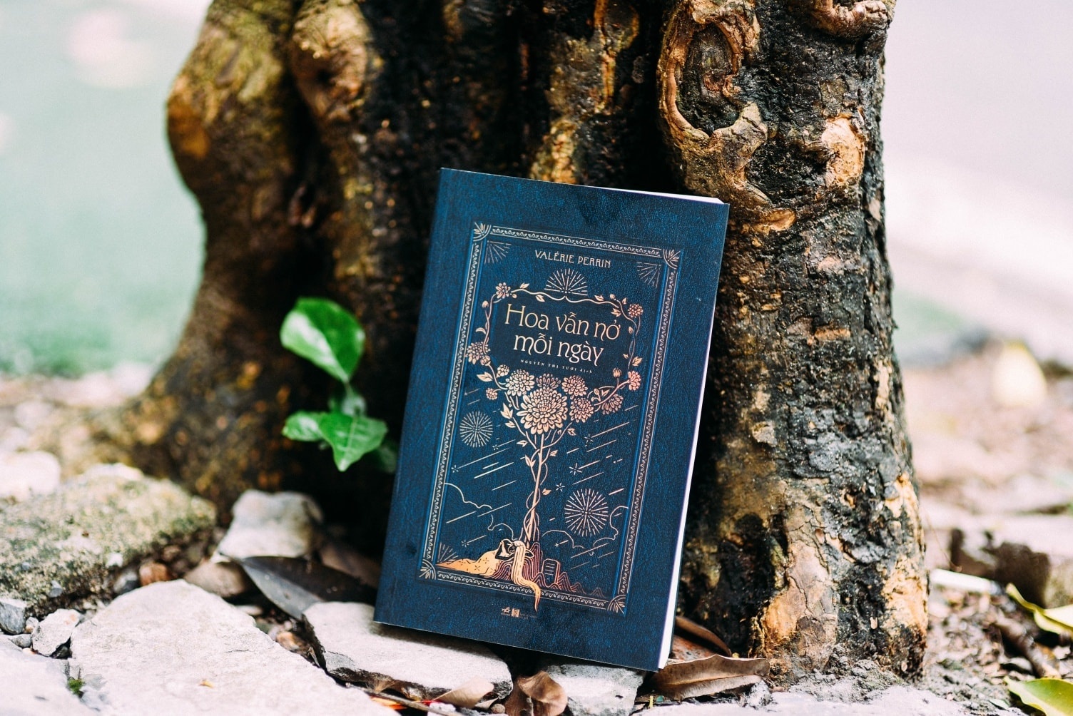 Chuyen nhan sinh noi nghia trang lanh leo hinh anh