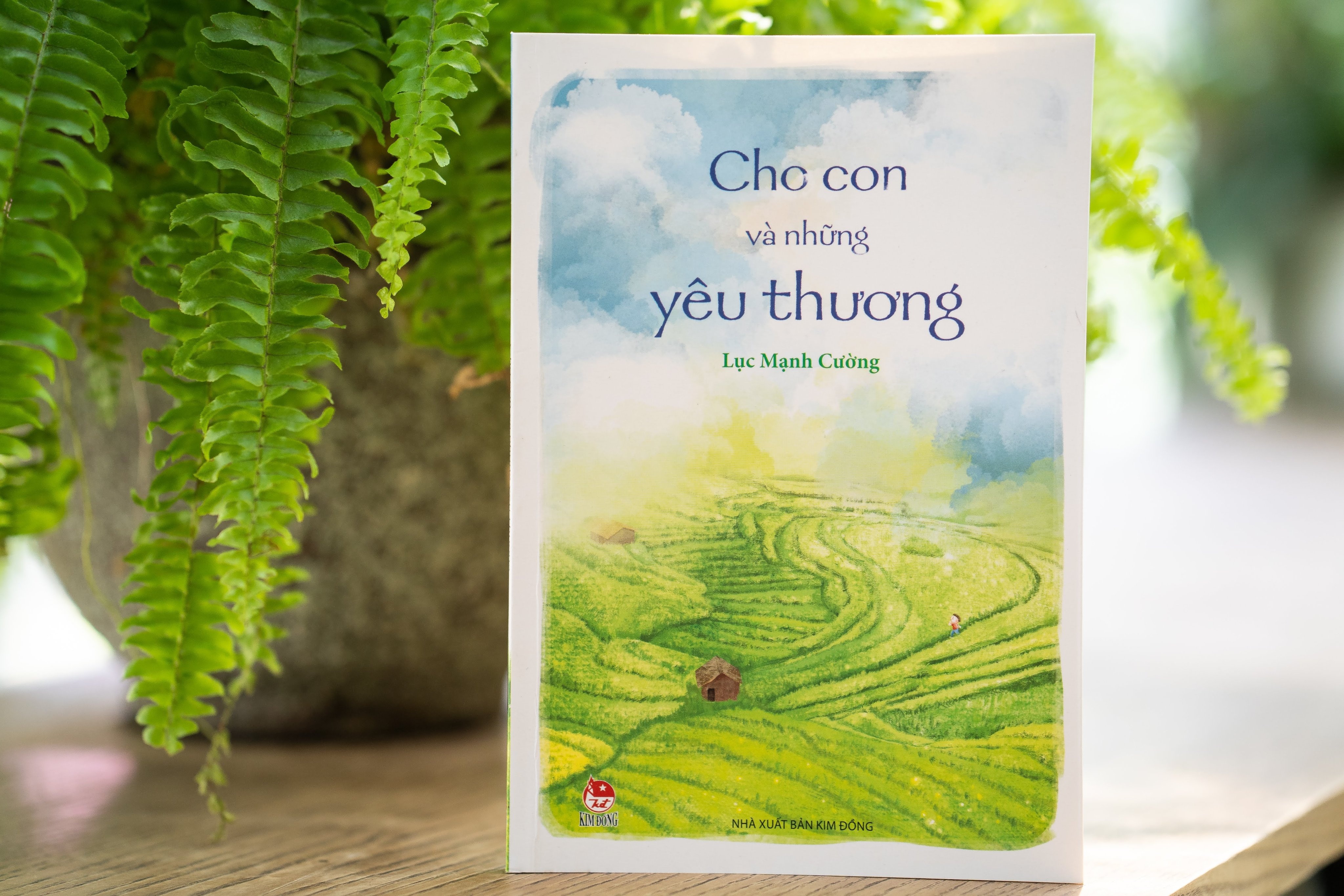 Tam su gui con tho cua thay giao cam ban hinh anh