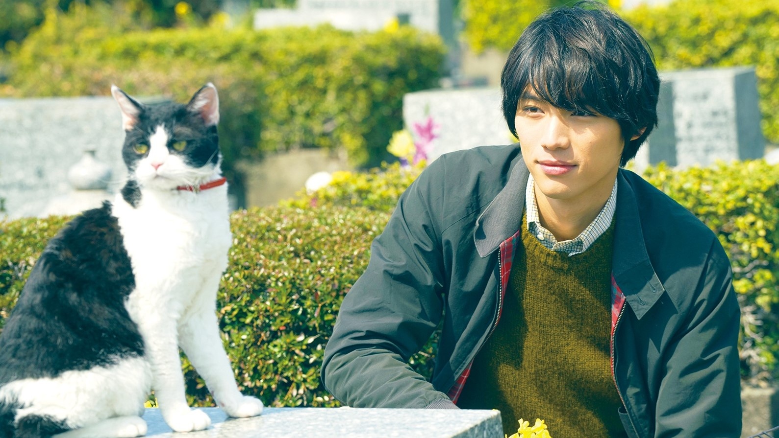 Nhung cuon tieu thuyet danh cho nguoi co don hinh anh