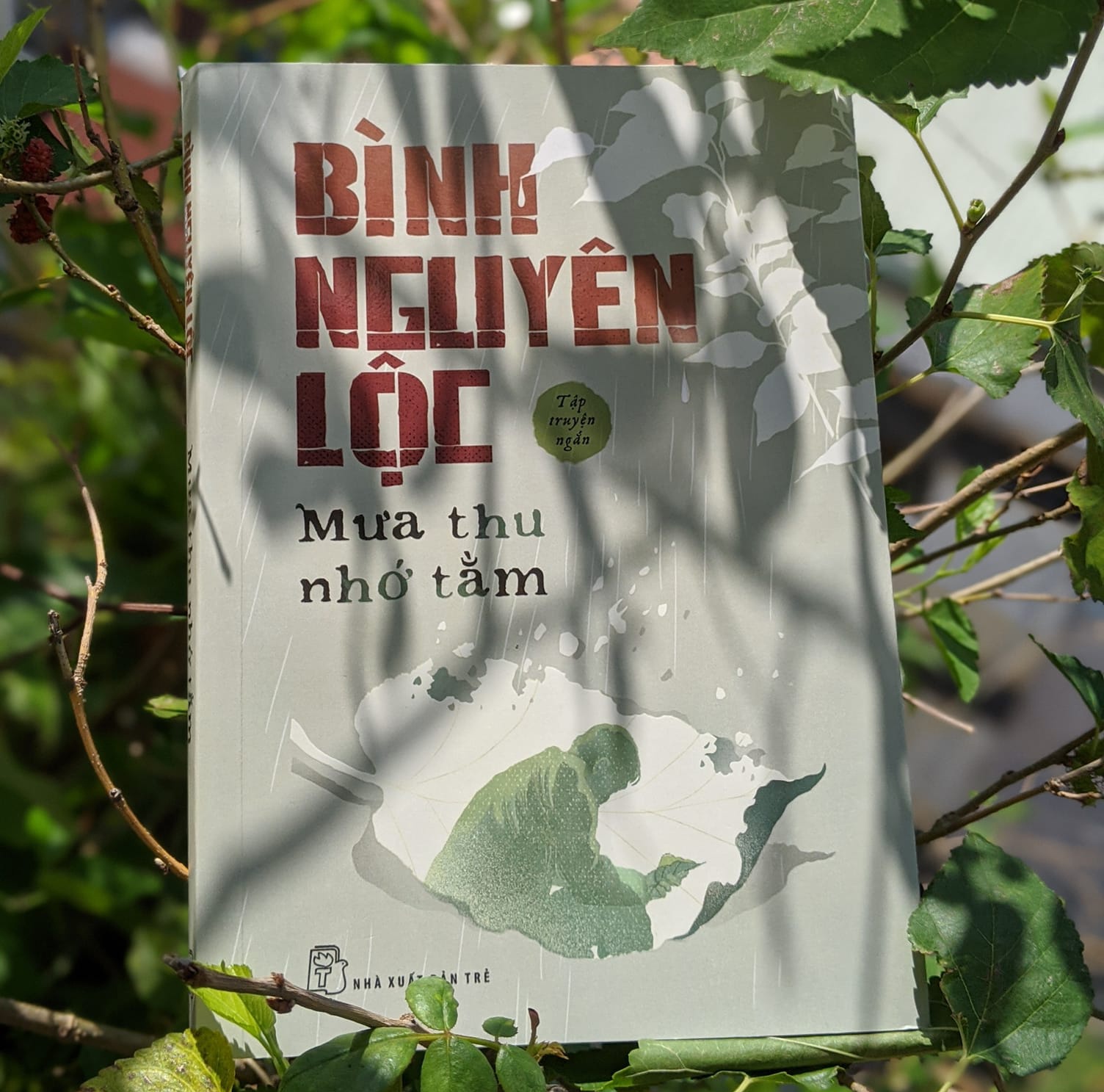 Nhan tinh mong manh giua thoi dai day ly tri hinh anh