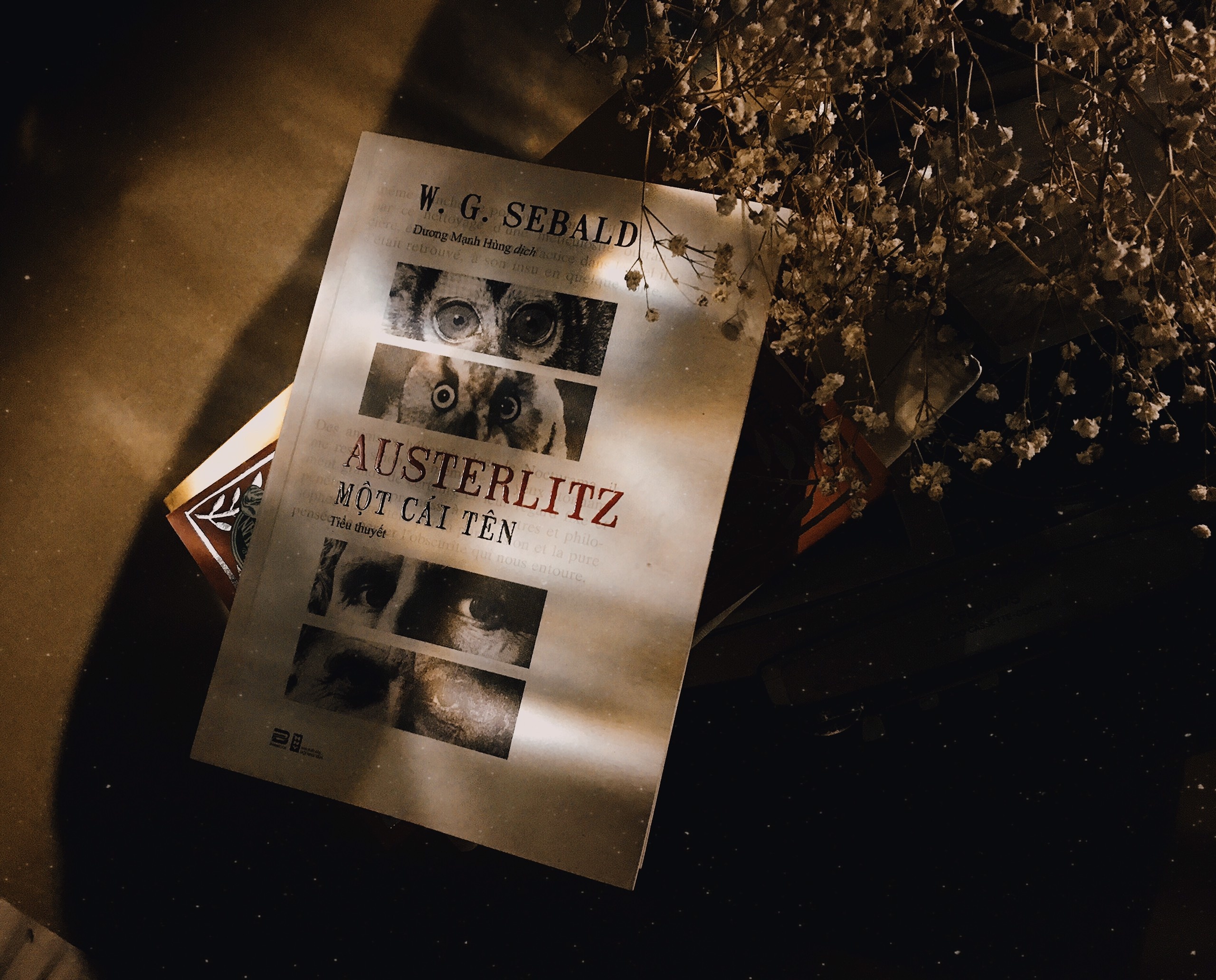 Ky uc cua chien tranh trong 'Austerlitz - mot cai ten' hinh anh