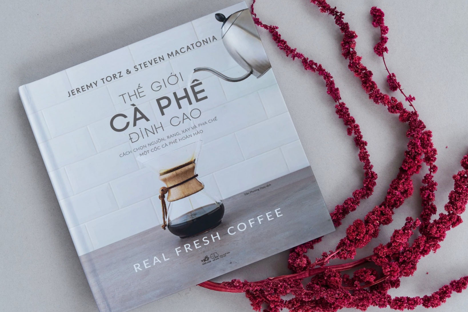 The gioi ca phe dinh cao anh 1