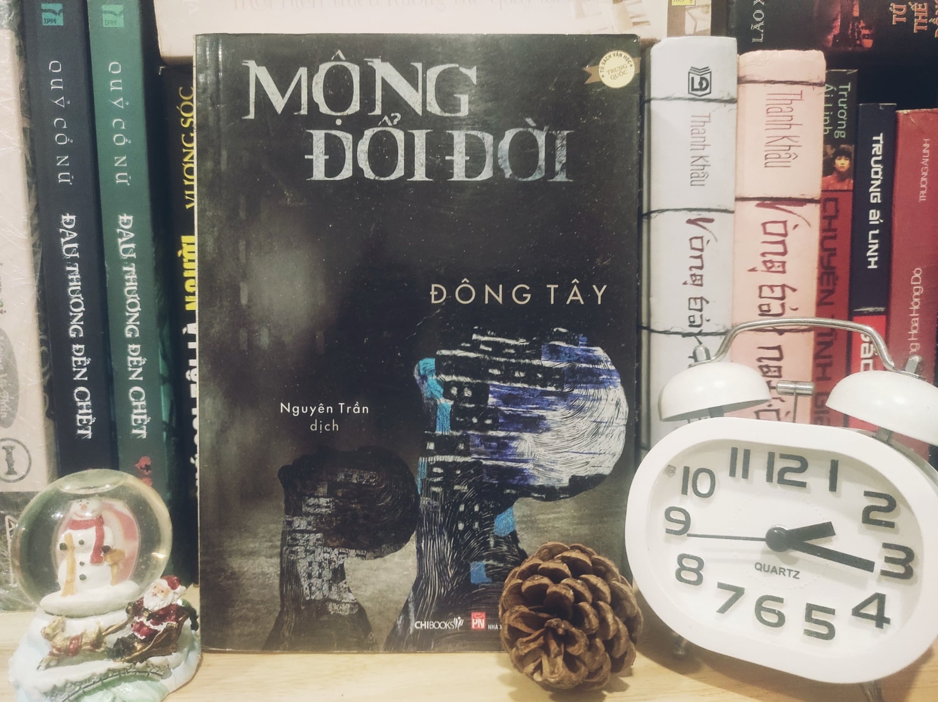 Nhung cuoc doi song gio trong tac pham cua nha van Dong Tay hinh anh