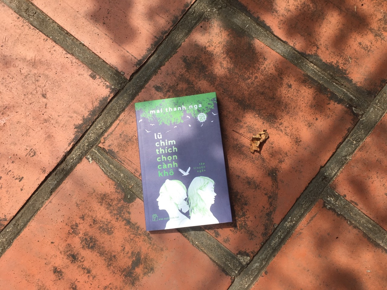 Tap truyen ngan anh 1