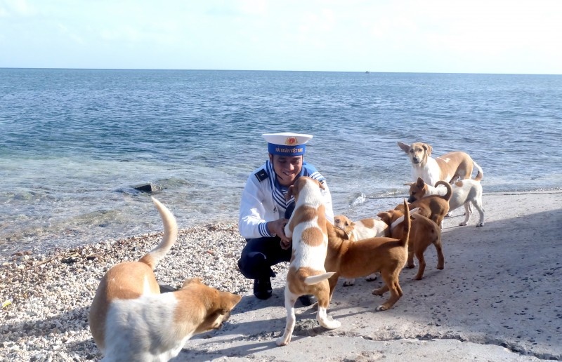 Nhung chu cho tren dao Da Nam hinh anh