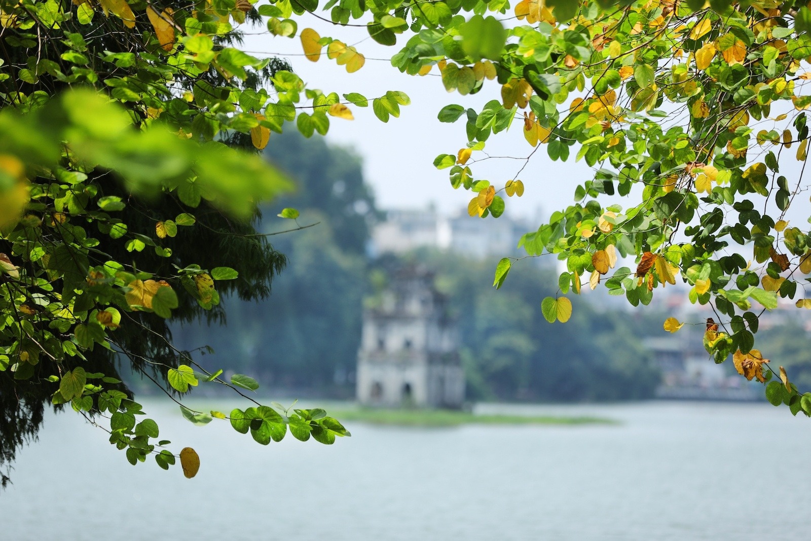 4 cuon sach thoi thuc ban di Ha Noi hinh anh