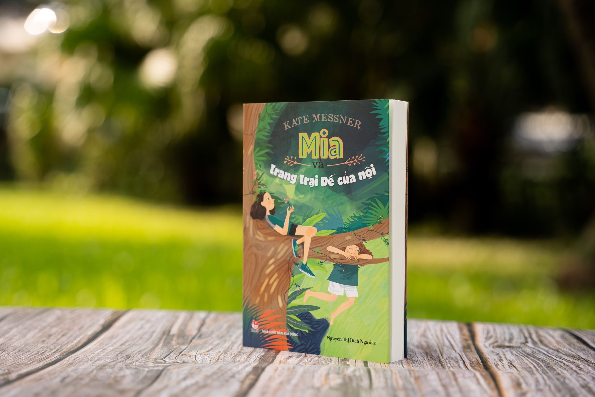 Mia va trang trai de anh 2