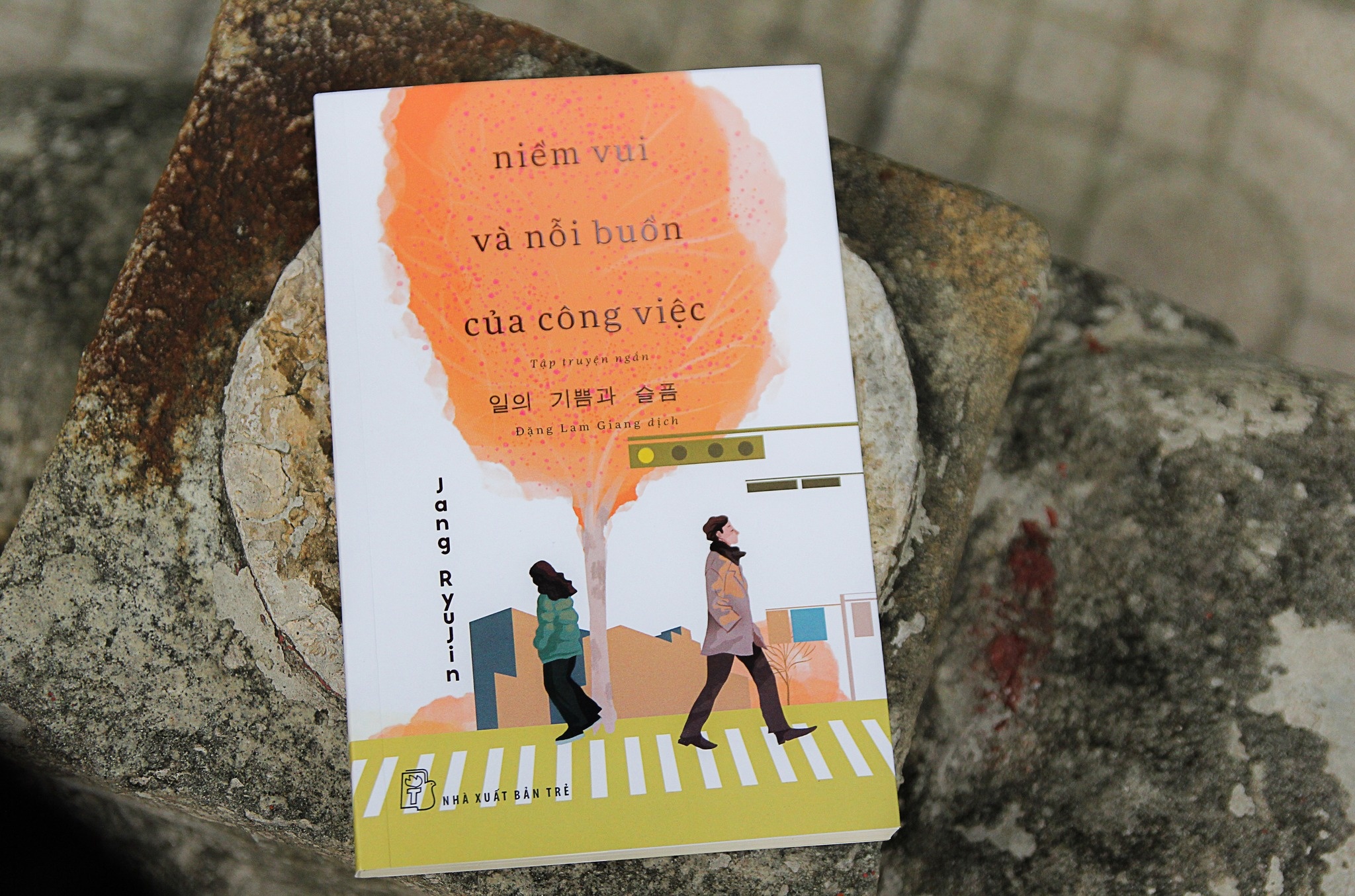 Jang Ryu Jin,  nguoi tre,  ap luc cong viec anh 2