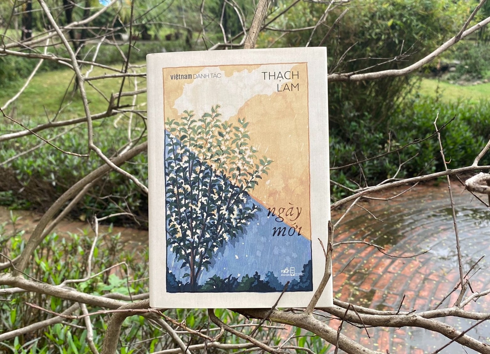 Giac mong song thanh nhan cua chang thu sinh hinh anh