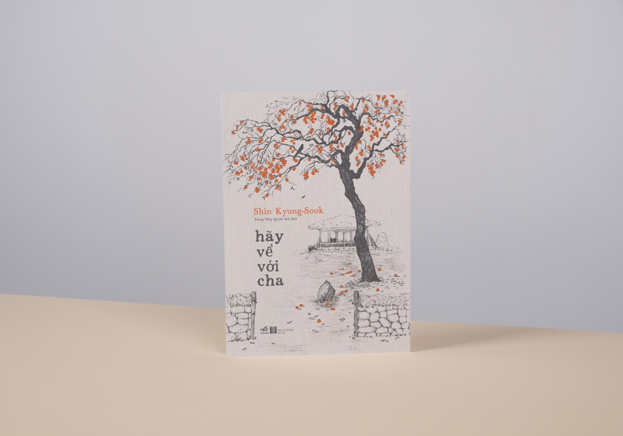 Ve nha doi lay binh yen hinh anh