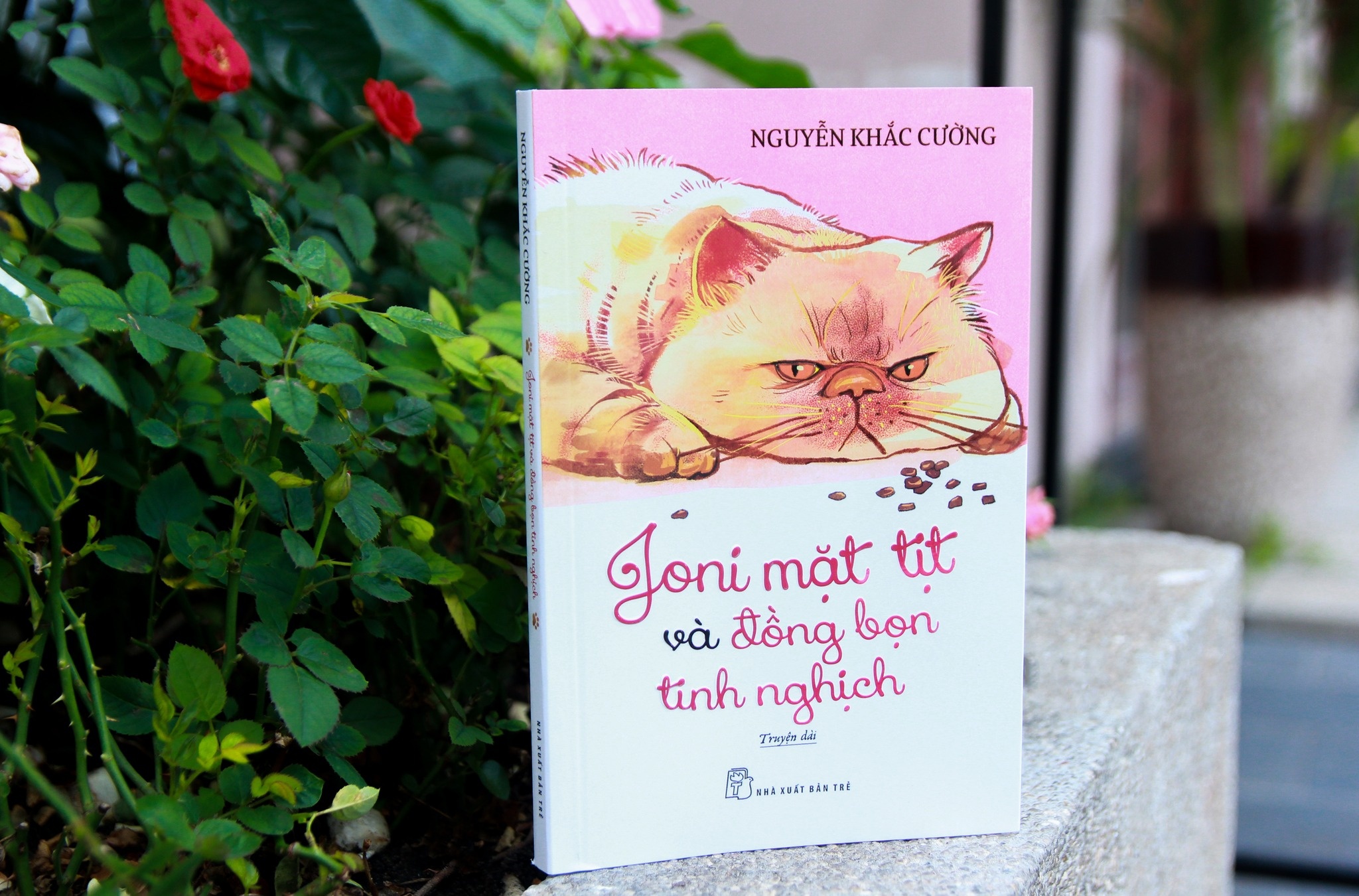 Chuyen ve thu cung va cuoc song con nguoi o do thi hinh anh