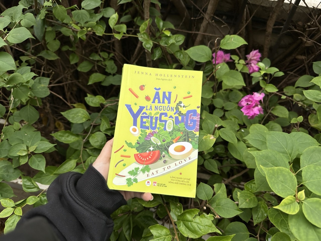 An la nguon yeu song anh 2