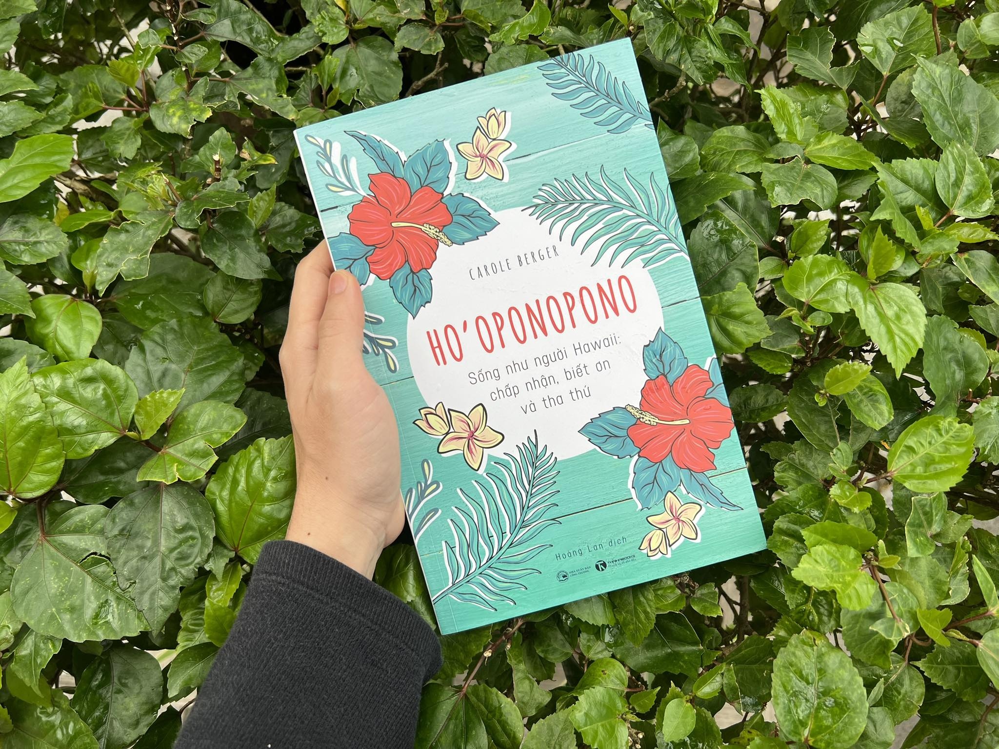 Song nhu nguoi Hawaii anh 2