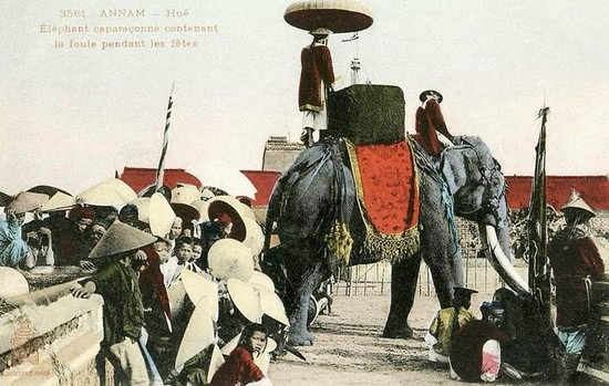 Voi chien thoi Nguyen o Ha Noi va nhung chuyen tren pho phuong hinh anh