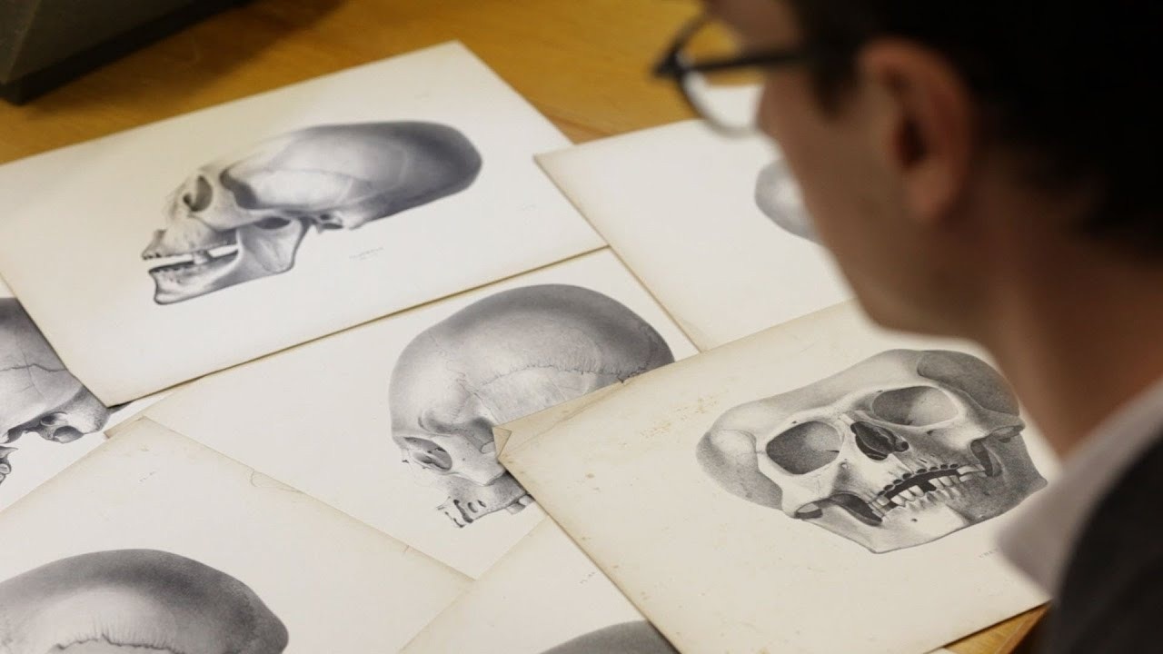 Tien hoa bat loi khien loai nguoi ho hap kem hinh anh