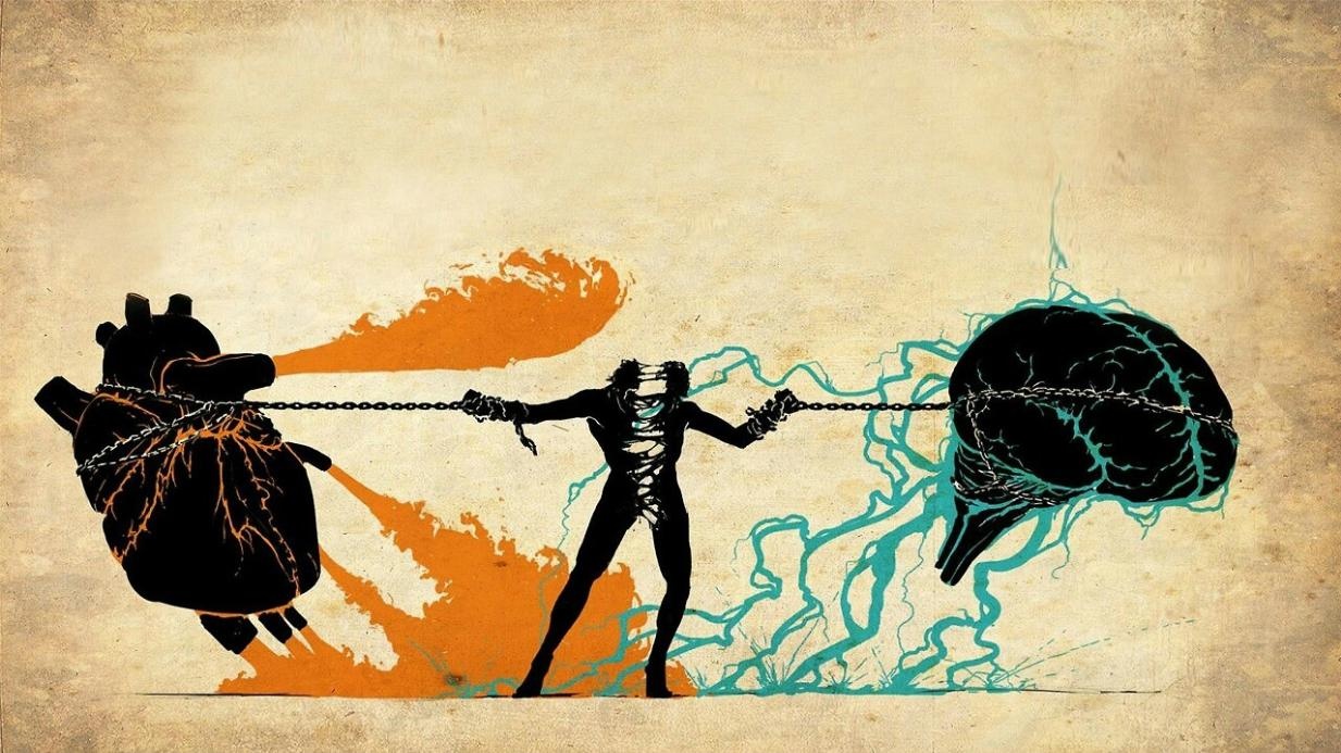 Lua chon la hanh trinh day ly tri hinh anh