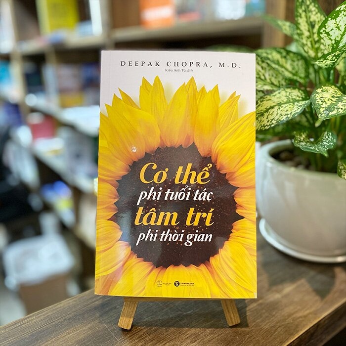 Chong lai lao hoa anh 2