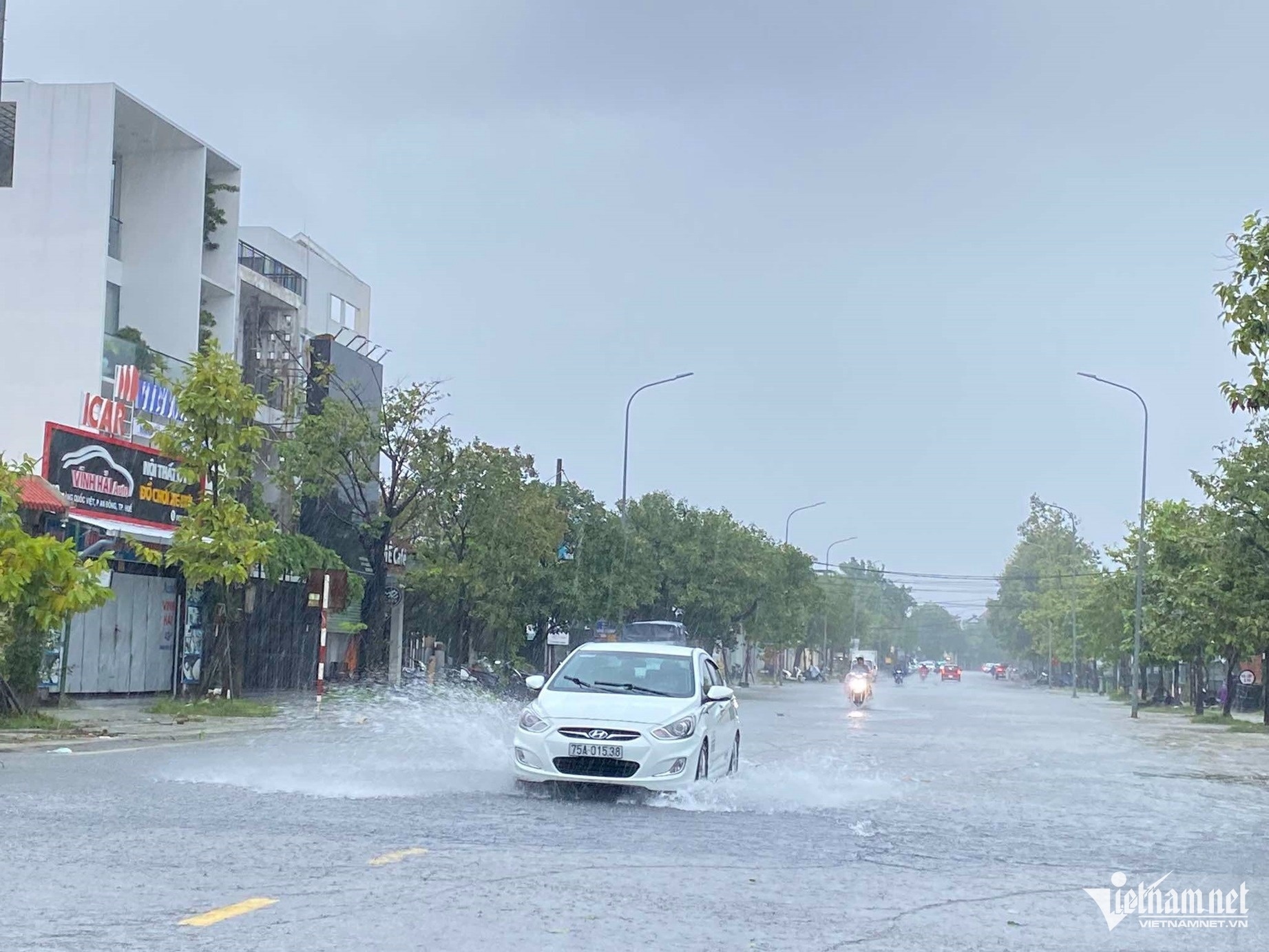 Bão Trà Mi ảnh 5 Bao Tra Mi anh 5