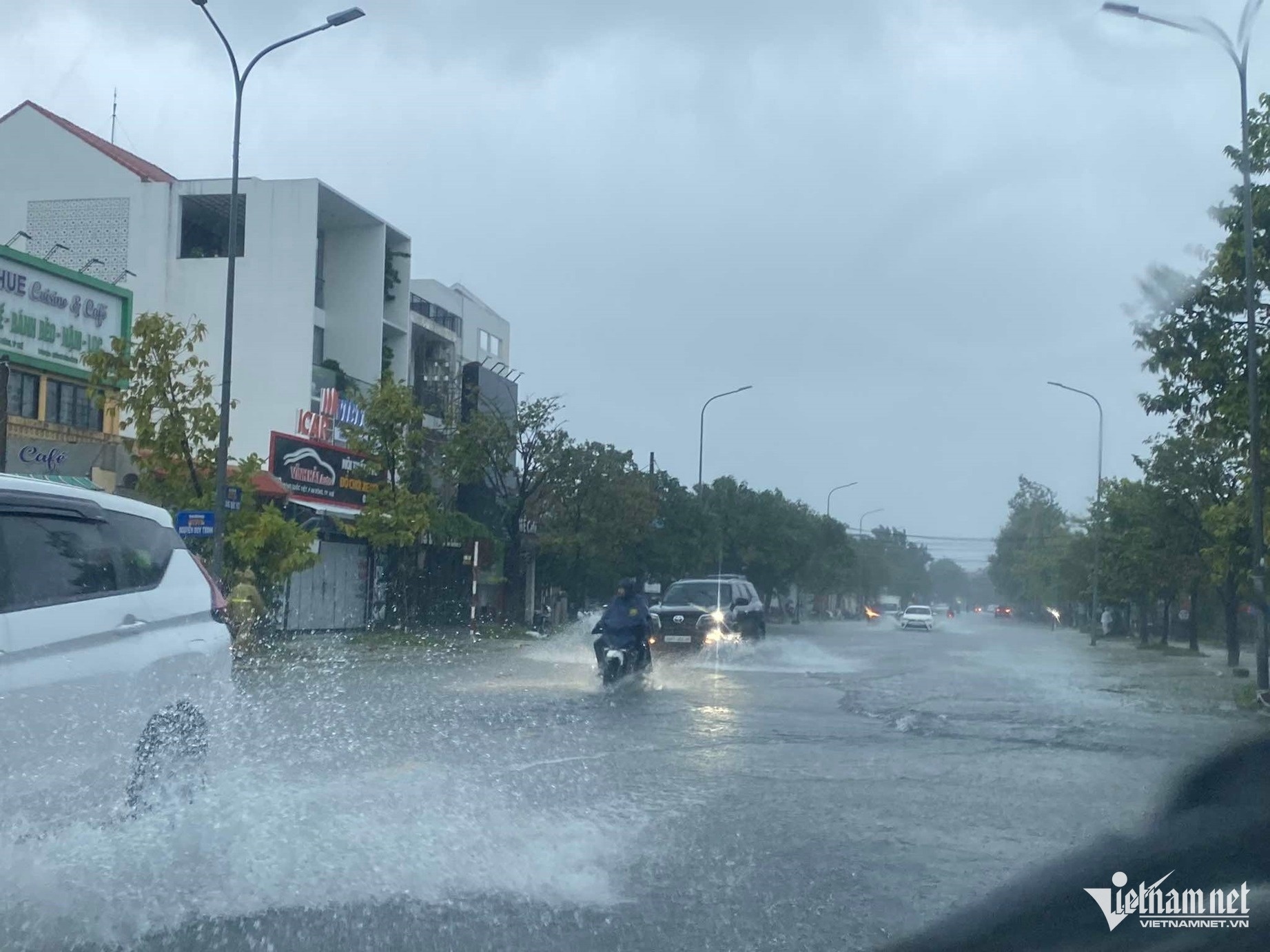 Bão Trà Mi ảnh 4 Bao Tra Mi anh 4