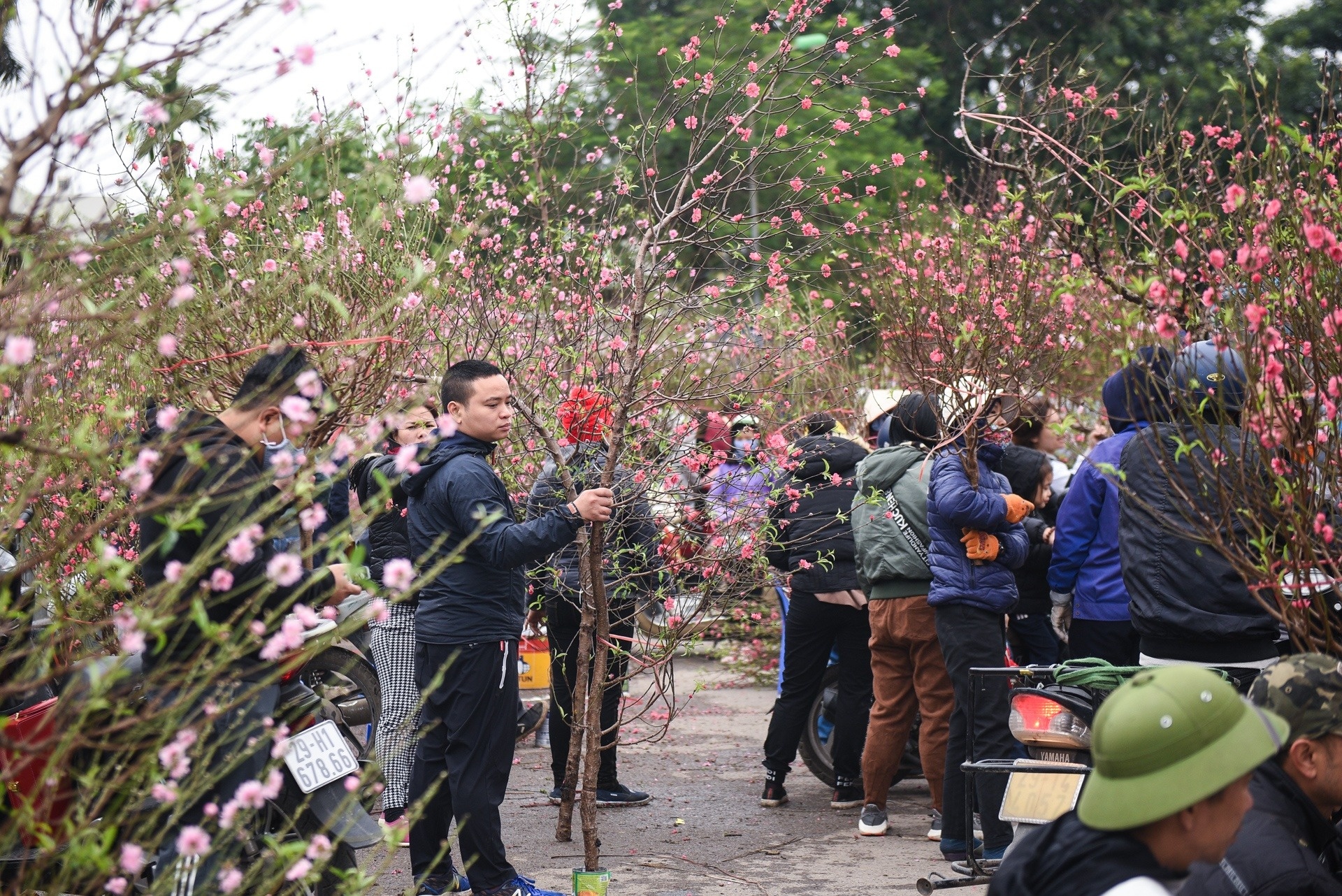 Nhon nhip cho hoa Tet cua nguoi Ha Noi    hinh anh