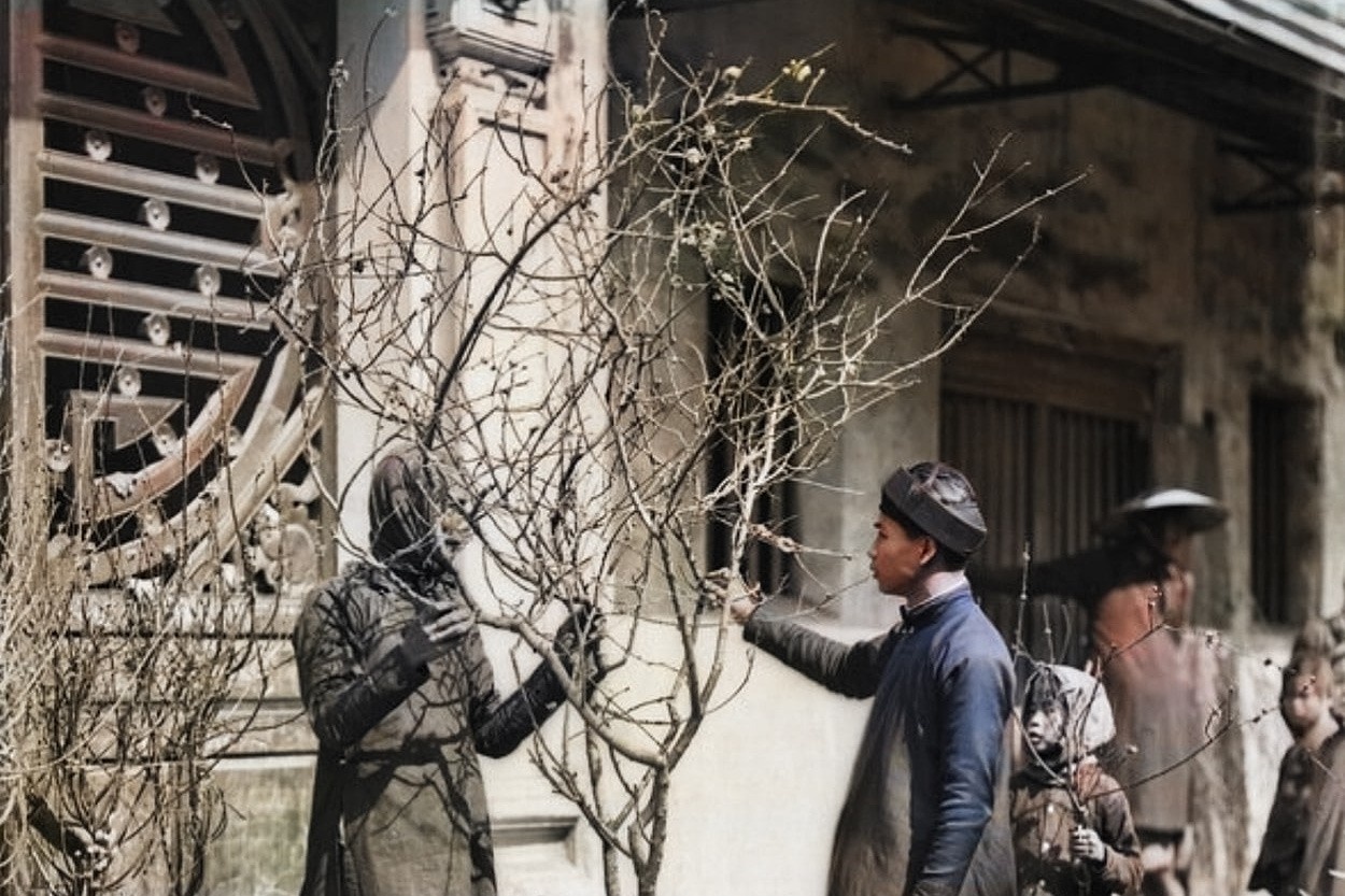 Canh nao nhiet don Tet o pho co Ha Noi dau the ky XX hinh anh