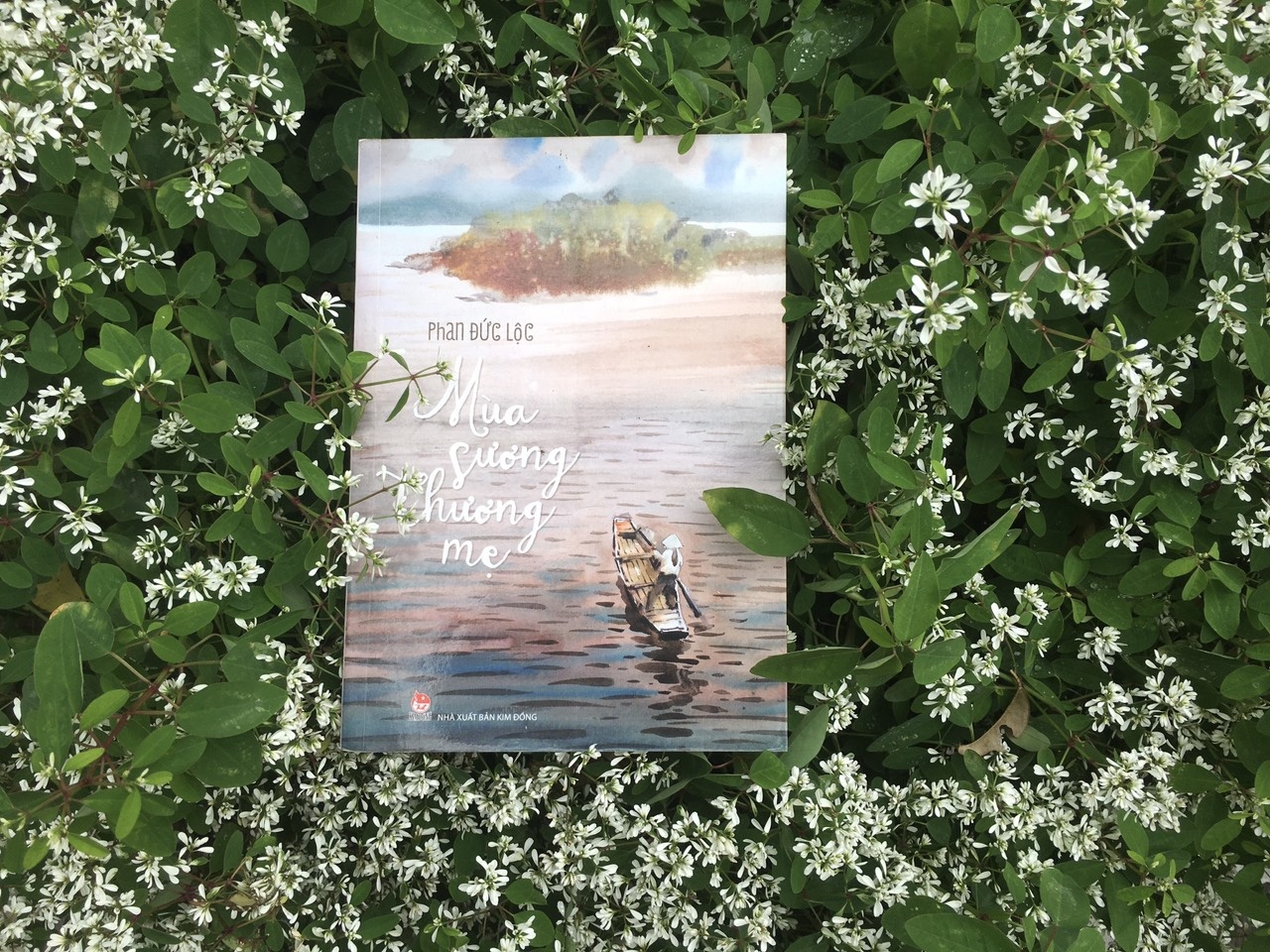 Mua suong thuong me anh 2