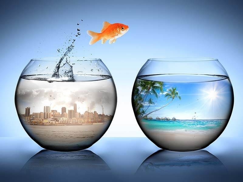 Roi khoi vung an toan de cham tay toi thanh cong hinh anh